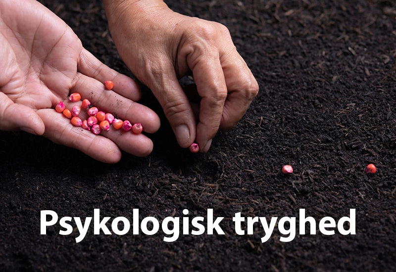 Dina & Amanda er med til at lægge kimen til psykologisk tryghed på deres arbejdsplads